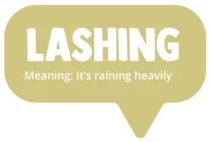 Lashing. Meaning: It's raining heavily