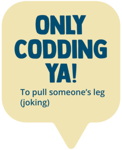 Only Codding Ya! Meaning: to pull someone's leg, make a joke
