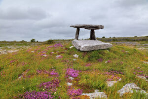 autumn in galway heath
