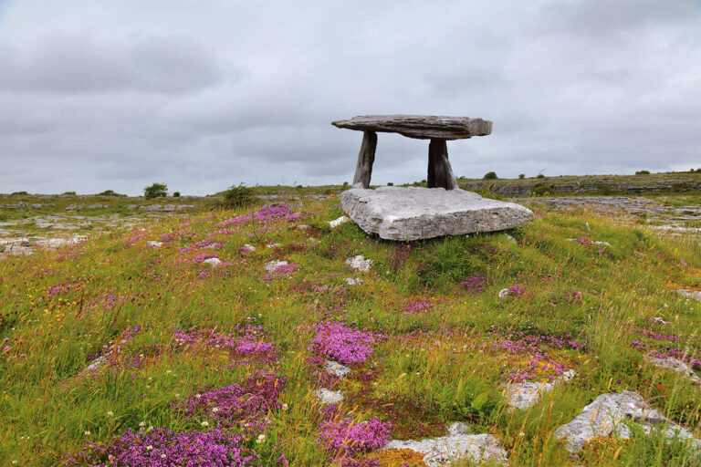autumn in galway heath